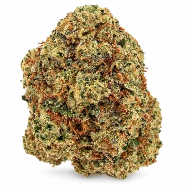 SWEETHEART at Fort York Cannabis