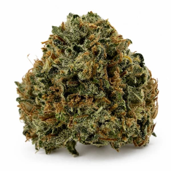 PINK SPACE COOKIES at Fort York Cannabis