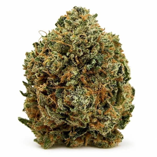 PINK PANTHER at Fort York Cannabis