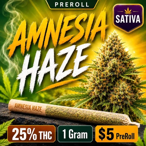 AMNESIA HAZE 1G SAT PRE-ROLL at Fort York Cannabis