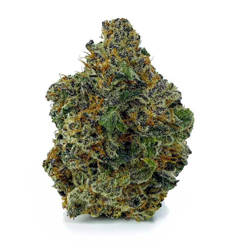 WHITE CHAMPAGNE at Fort York Cannabis