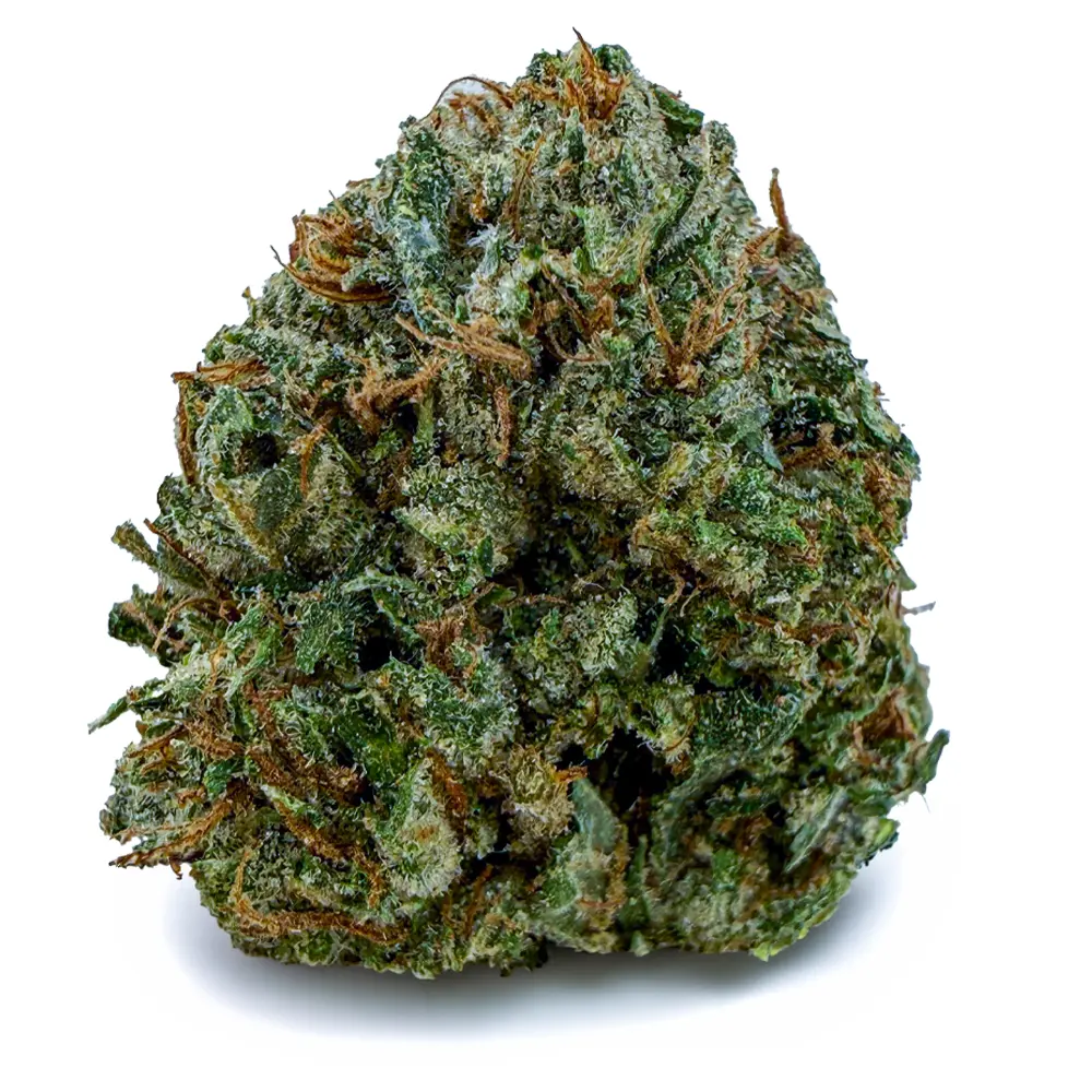 MUELLER FUEL at Fort York Cannabis