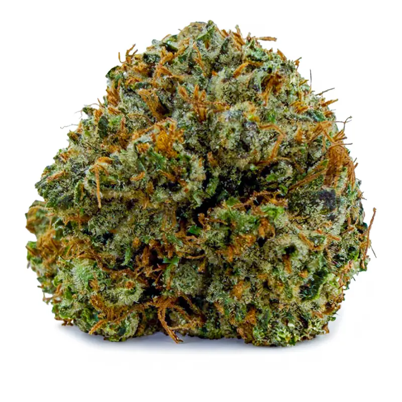 PINK GAS at Fort York Cannabis