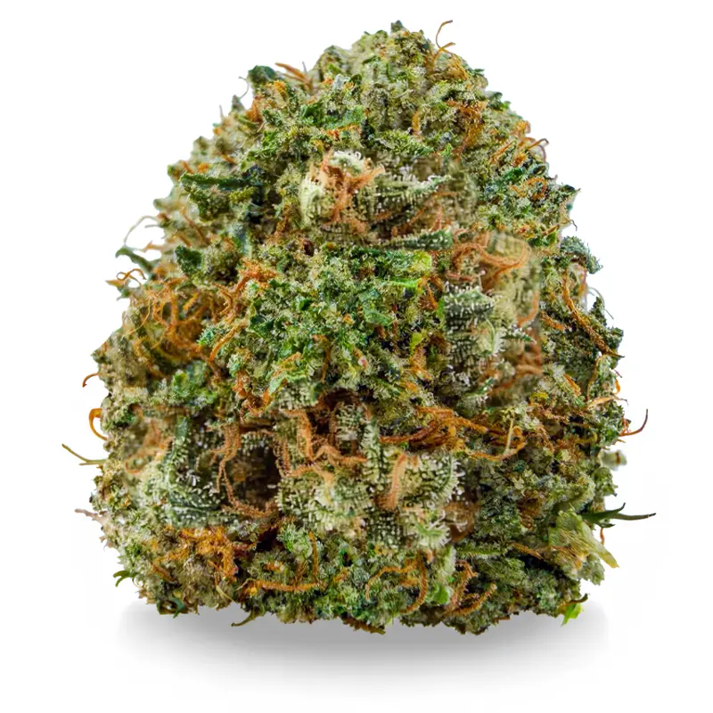 PINK GOO at Fort York Cannabis