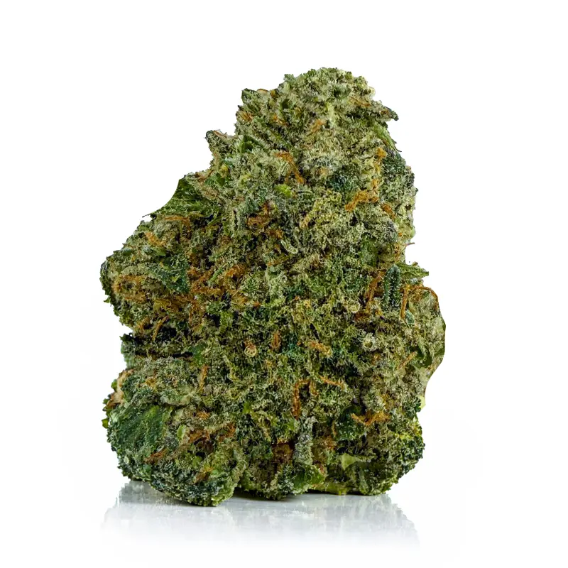 RAINBOW KUSH at Fort York Cannabis