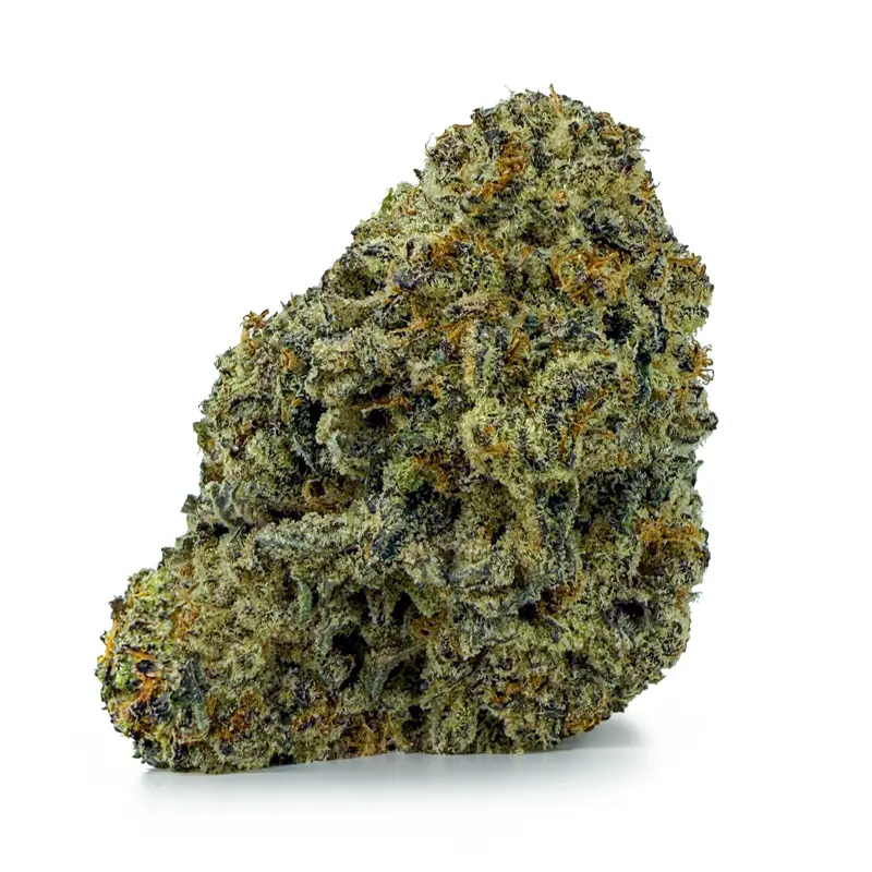 KHALIFA KUSH at Fort York Cannabis