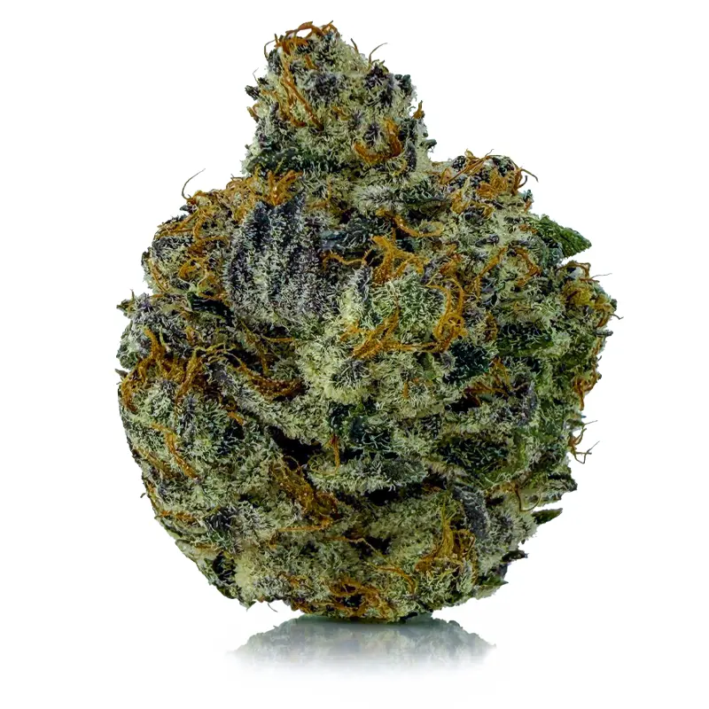 PURPLE SPACE QUEEN at Fort York Cannabis