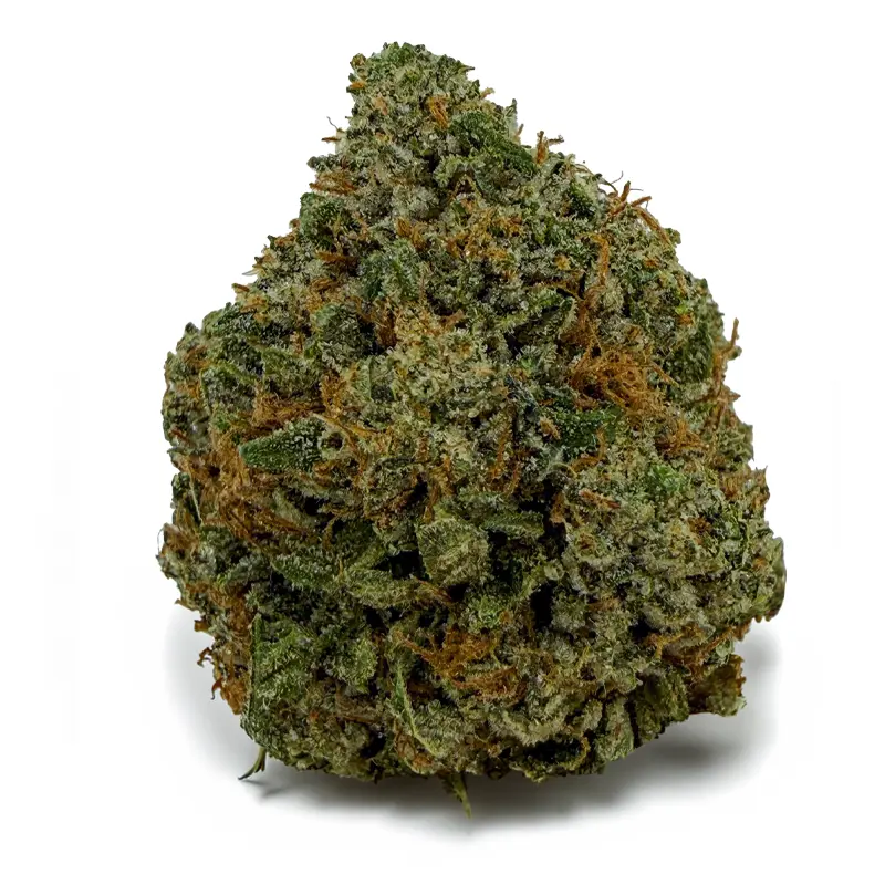 PINK PANTIES at Fort York Cannabis