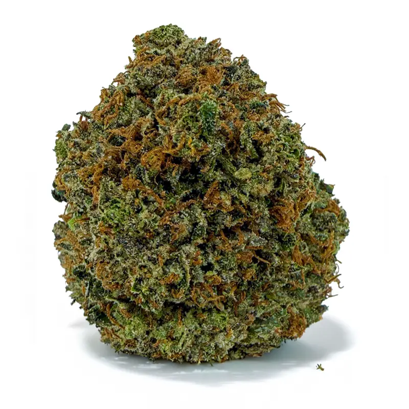 PINK CHAPO at Fort York Cannabis