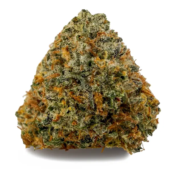 PURPLE PUNCH at Fort York Cannabis